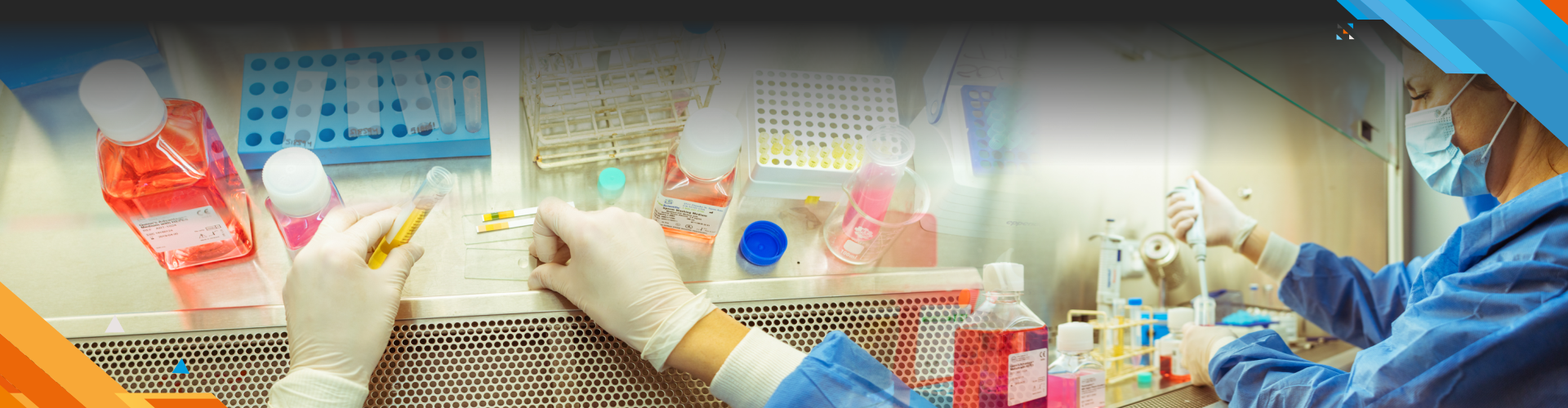 slider melella principal 2020 5