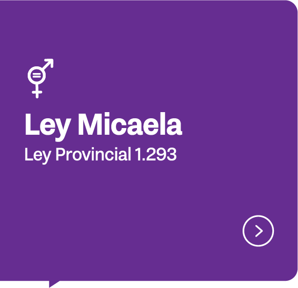Ley Micaela