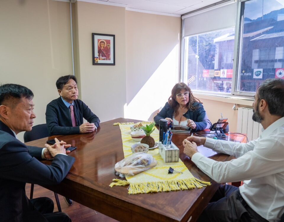 TIERRA DEL FUEGO AVANZA EN PROYECTOS ENERGÉTICOS Y DE INVERSIÓN HIDROCARBURÍFERA CON EMPRESAS CHINAS