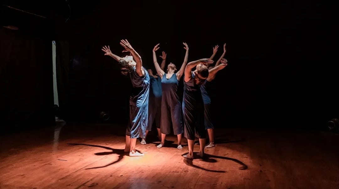 Danzas en el Fin del Mundo 2